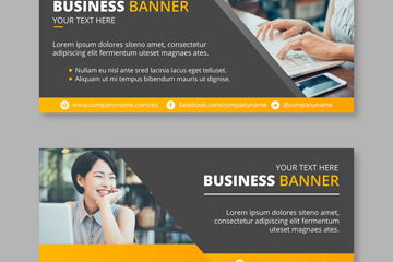 矢量设计与软件开发 创意与技术的完美融合